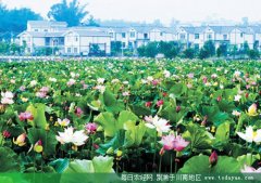<b>羰续 ϵС</b>