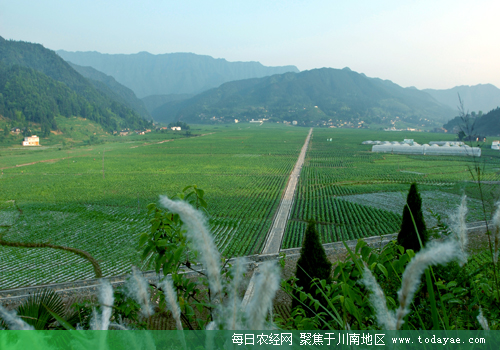 <a  data-cke-saved-href=http://www.luzhouol.cn href=http://www.luzhouol.cn target=_blank class=infotextkey></a>ƬƶЧ.jpg