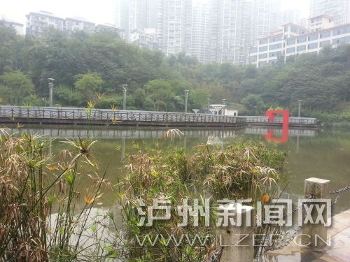 lirt151062 - 