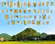 ҹѧҷִ˻ʯ սִԴ˵