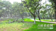 ݣ6ũҵ԰ʡʾũҵ⹫԰