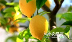 ڽԶչˮҵ ũ¸