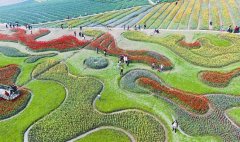 <b>泸州市纳溪区清溪沟:废弃工业厂区变美丽花海</b>