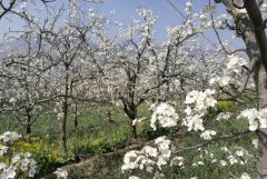 <b>⺺Դ滨̬ڽʢĻ</b>