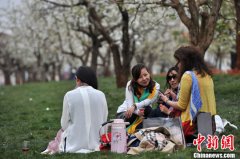 <b>昆明万亩梨花盛开醉游人</b>