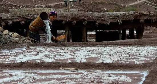 美翻了!茶马古道上的千年奇观