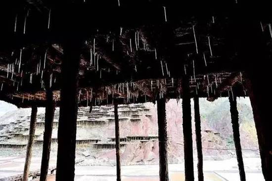 美翻了!茶马古道上的千年奇观