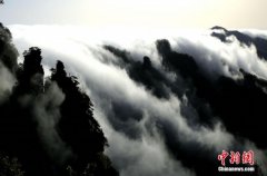 <b>张家界武陵源雨后现“云瀑”</b>