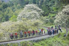 <b>ɽΪŽС ȥͩӻ(ͼ)</b>