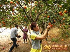 <b>üɽɽ߽Ʒٻ22տĻ</b>