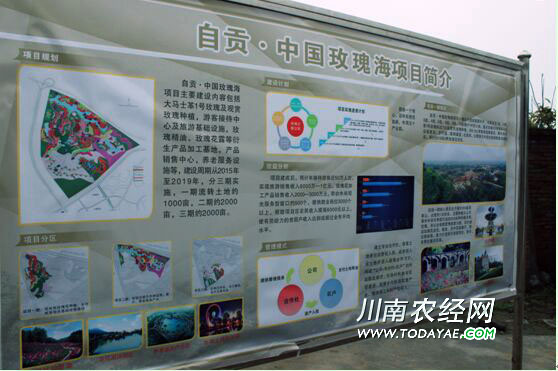 õ庣.jpg