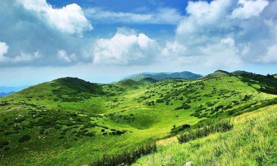 ھ˼ɾ һԴ