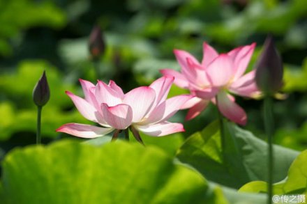 <b>2016ļͺɻͼ·</b>