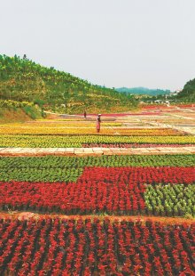 <b>Թִũҵ⹫԰ 羰续(ͼ)</b>