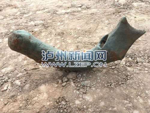 zhangrh1608760 - 