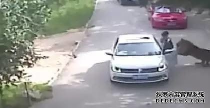 йŮο̩԰ʧ٣Ѱδ԰100ֻϻ