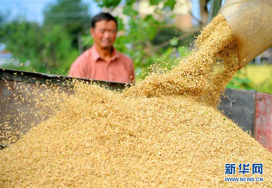 109գʡũջˮũҵũȣ108գȫջ51.2%ͬȿ5.3ٷֵ㡣 »緢屦 㣩