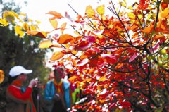 Ҷ뾰ӭѹ οͿARϷѰ