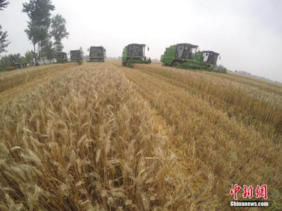 63գոոգʡĶոũҵʹոֻʳɻҵʵ˴ʳջ񡢽ոѻۺá¼ﲥֵʳɡһ廯ҵҵЧʺ;Ч档<a target='_blank'  data-cke-saved-href='http://www.chinanews.com/' href='http://www.chinanews.com/' _fcksavedurl='http://www.chinanews.com/'></p></table></a><p>  