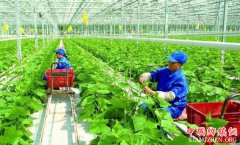 ũҵӿ췢չũҵԷҵ ʵִũҵ