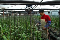 ִũҵǿ棡ʮ˴ũҵƼ·չ