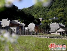 <b>ʡżҽС ũǮ</b>