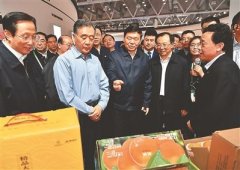 ׽ũ¼ҵ´ٿ :˫˫ٽ