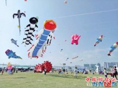 2017ڶ˫㵺ʷݽܾ ֻݽ¶