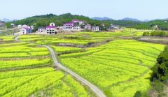 ̽¦ִ塰ҵޱ