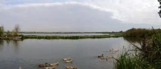 黎里私藏着世外桃源般的乡村美景