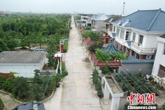 探访江苏如皋特色田园乡村:处处是风景 花木富村民