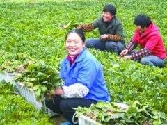 ĴʡȫƽĴֱ߲۰Ե㹤