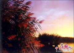 <b>宁夏:沙湖旅游开展卓越绩效干部培训工作</b>