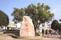 ҿӴ:ũ塰桱