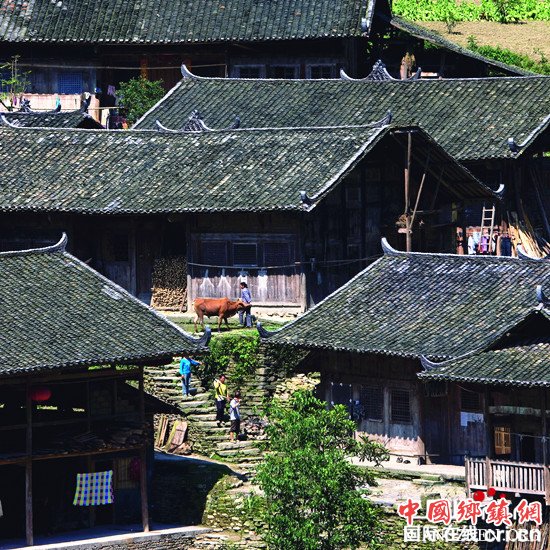 已过审【行游巴渝 标题摘要】年味渐浓 重庆推59条冬季醉美乡村精品线路 已过审【行游巴渝 标题摘要】年味渐浓 重庆推59条冬季醉美乡村精品线路