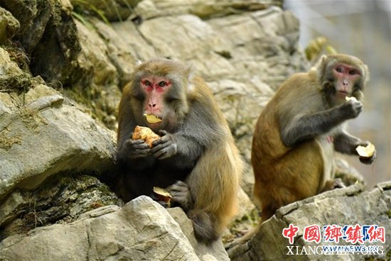 1227գںʡʨӹش壬⨺ڿʳ