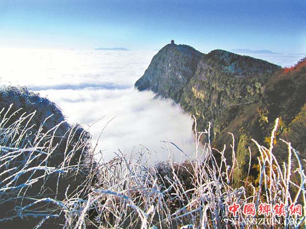 图片默认标题 图片默认标题_fororder_2