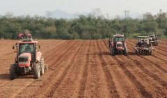 ץסũʱӿᡰ˫ߡؽ貽