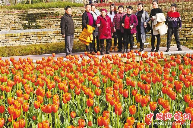 假日第五天 重庆都市旅游和古镇旅游人气旺 假日第五天 重庆都市旅游和古镇旅游人气旺