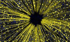 ����Ĥ��ϸ������������ۼ�