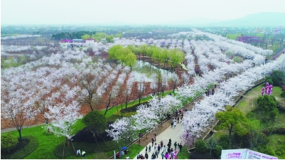 图片来源互联网