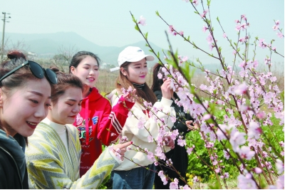 图片来源互联网