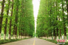 ������ͨΪ����ˮ����һ���ͣ138�һ�����