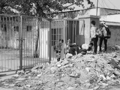 һǨǽ· ѧУɹµѧǽ궴