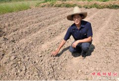 �����µ�һ���֡�������������������Χ����