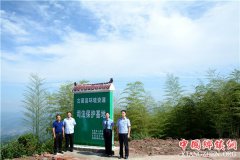 �����׸�������Դ˾���������س���