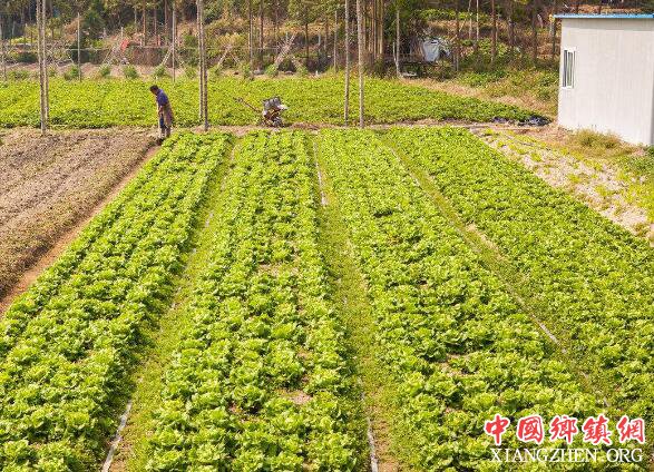 贵州产业扶贫“春风行动”成效明显 实现合作发展格局