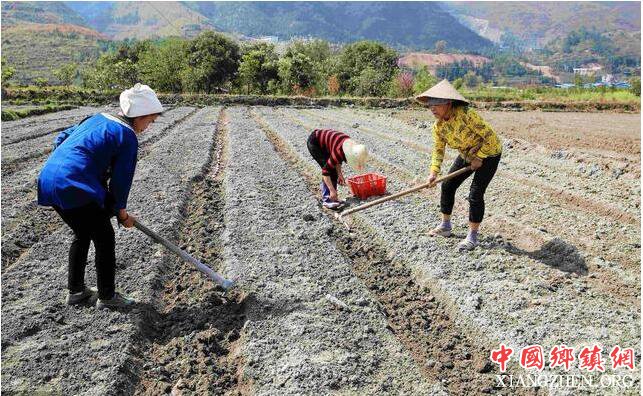 农民种地外出打工为什么还是穷?这几点说到了农民的心坎上