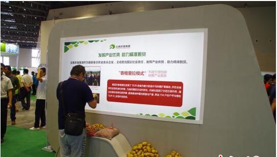 第二十届中国马铃薯大会云南开幕 助力脱贫攻坚