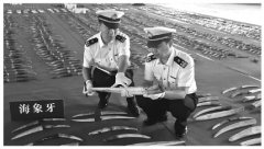 زشΣƷ˽ 1276638ֻ߱